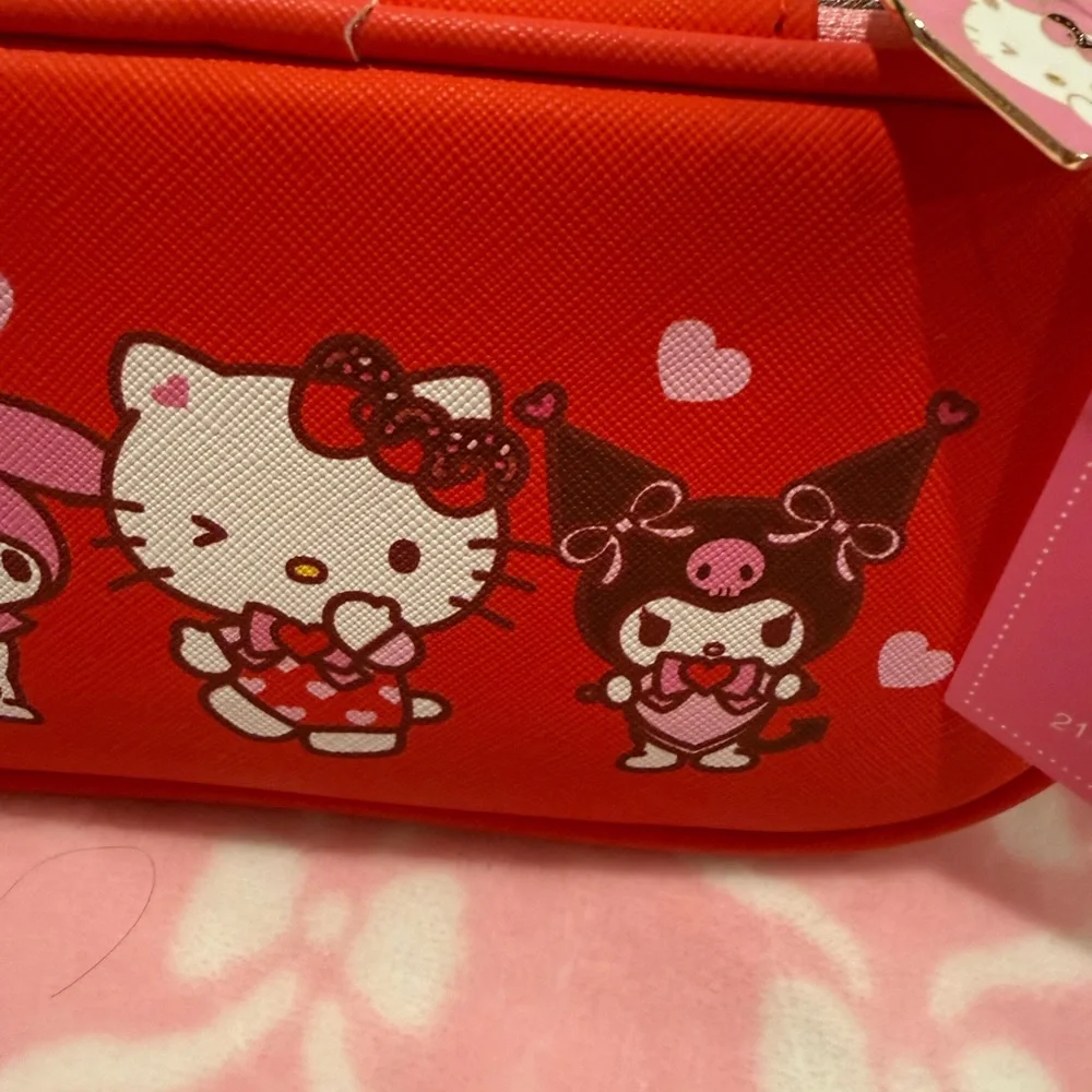 Hello Kitty Pouch with Sanrio Characters